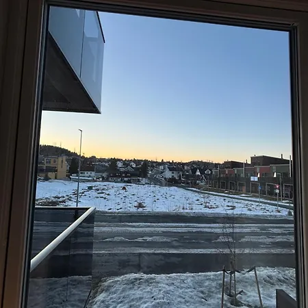 Modern Nordic With Parking Garage *